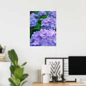 Hydrangeas {Lila} | Poster (Heimbüro)
