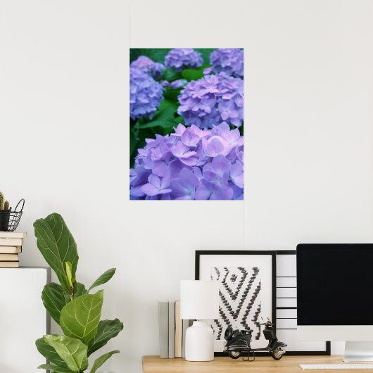 Hydrangeas {Lila} | Poster (Heimbüro)
