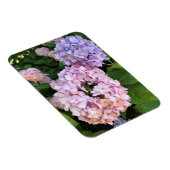 Hydrangeas Magnet (Rechte Seite)