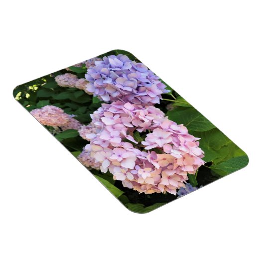 Hydrangeas Magnet (Rechte Seite)
