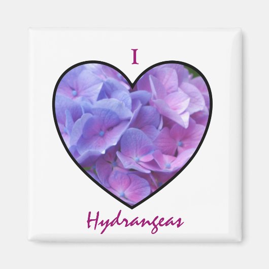 Hydrangeas Magnet (Vorne)
