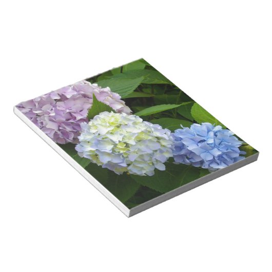 Hydrangeas Notizblock (angewinkelt)