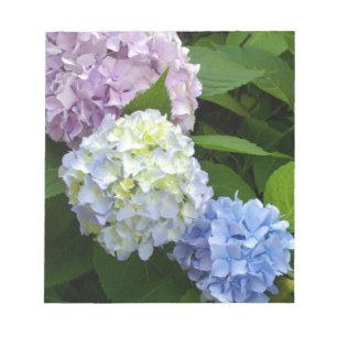 Hydrangeas Notizblock