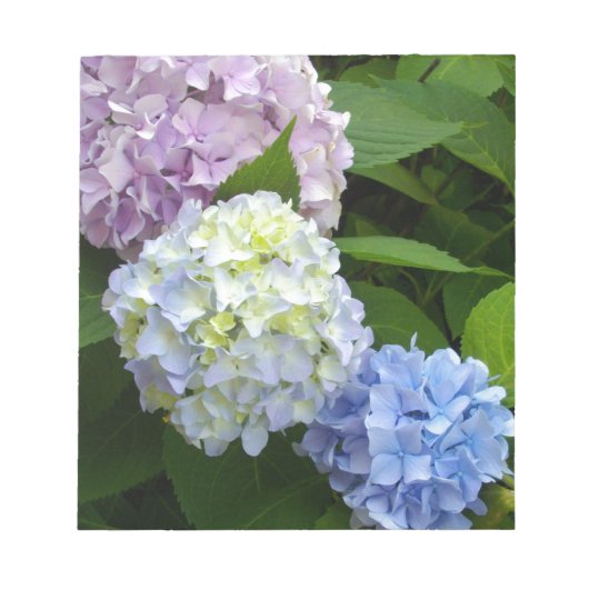Hydrangeas Notizblock (Vorderseite)