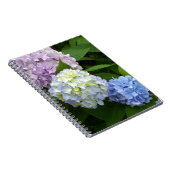 Hydrangeas Notizblock (Rechte Seite)