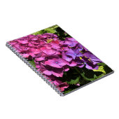 Hydrangeas Notizblock (Rechte Seite)