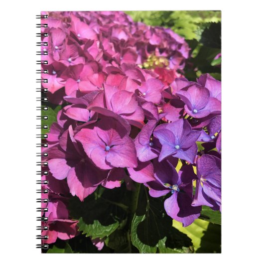 Hydrangeas Notizblock (Vorderseite)