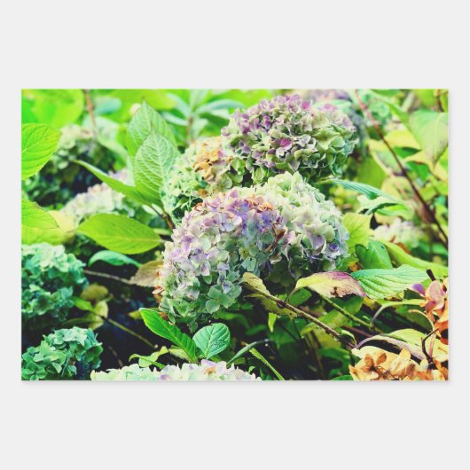 Hydrangeas-Packpapier Geschenkpapier Set (Vorderseite)