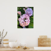 Hydrangeas Poster (Küche)