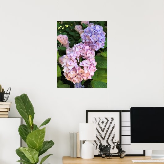 Hydrangeas Poster (Heimbüro)
