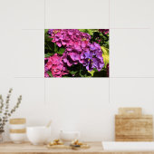 Hydrangeas Poster (Küche)