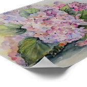 Hydrangeas Poster (Ecke)