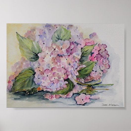Hydrangeas Poster (Vorne)