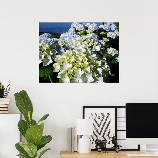 Hydrangeas Poster (Heimbüro)