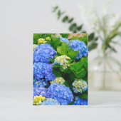 Hydrangeas Postkarte (Stehend Vorderseite)