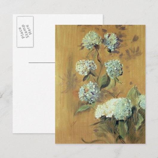 Hydrangeas Postkarte (Vorne/Hinten)