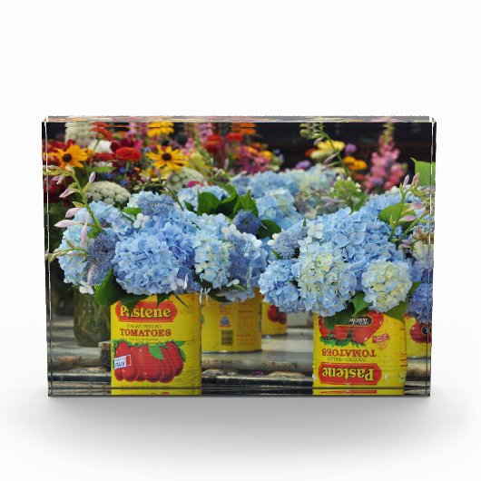 Hydrangeas und frische Blume in Tomatenkonserven Fotoblock (Vorderseite)