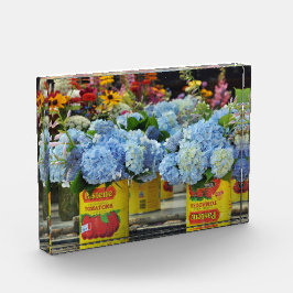Hydrangeas und frische Blume in Tomatenkonserven Fotoblock