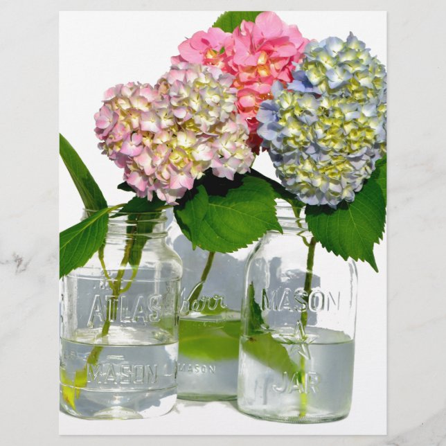 Hydrangeas und Mason jar (Vorderseite)