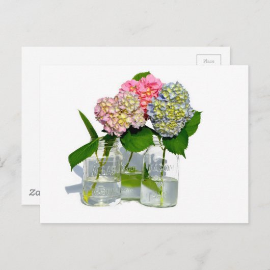 Hydrangeas und Mason jar Postkarte (Vorne/Hinten)