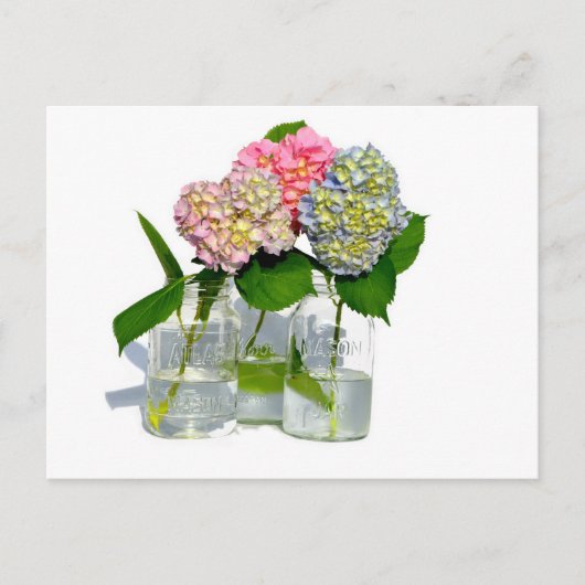 Hydrangeas und Mason jar Postkarte (Vorderseite)