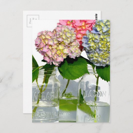 Hydrangeas und Mason jar Postkarte (Vorne/Hinten)