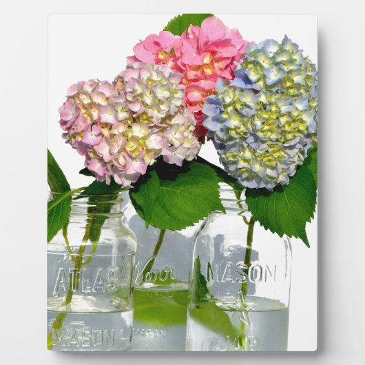 Hydrangeas und Maurerkirsche Fotoplatte (Vorderseite)