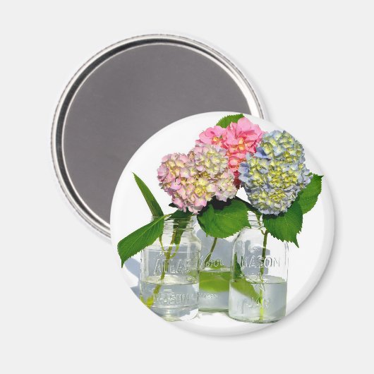 Hydrangeas und Maurerkirsche Magnet (Vorderseite/Rückseite)