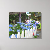 Hydrangeas und Picket Fence - Martha's Vineyard Leinwanddruck (Vorderseite)