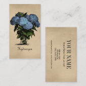 Hydrangeas Vintag botanisch Visitenkarte (Vorne/Hinten)