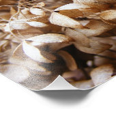 Hydrangeas vom Februar Fotodruck (Ecke)