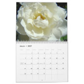 HYDRANGEAS weißer Rosen-Farn-Kalender-Lehrer Kalender (Mär 2027)