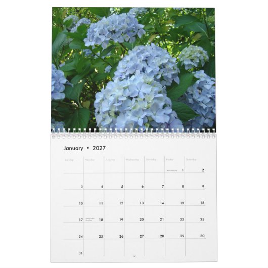 HYDRANGEAS weißer Rosen-Farn-Kalender-Lehrer Kalender (Jan 2027)