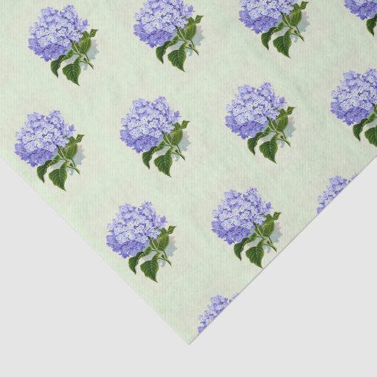 HydrangeaSeidenpapier Seidenpapier (Ausschnitt)