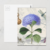 Hydrangeen-Collage Postkarte (Vorne/Hinten)