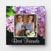 Hydrangegarten Rosa lila blaugrüne Blüte Fotoplatte (Vorderseite)