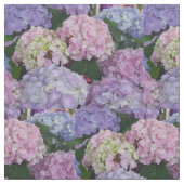 Hydrangia lila blaues Rosa Stoff (Nahaufnahme)