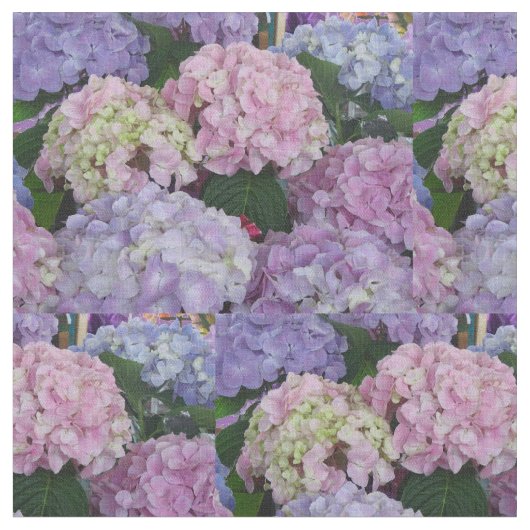 Hydrangia lila blaues Rosa Stoff (Nahaufnahme)