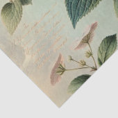 Hydrangia Seidenpapier (Detail)