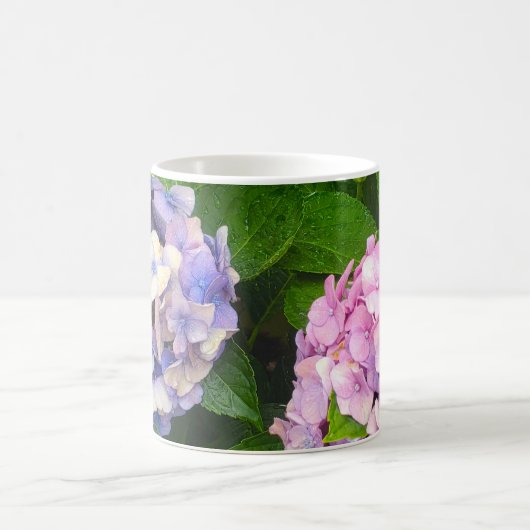 Hydreangea kaffeetasse (Mittel)