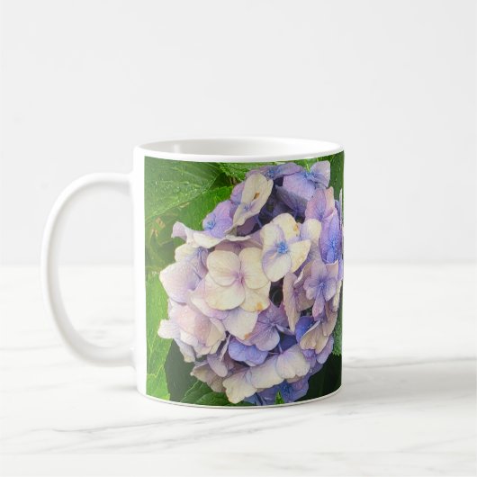 Hydreangea kaffeetasse (Links)