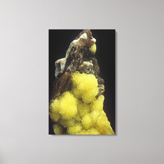 Hydroboracit auf Gorgeyit, Kasachstan Leinwanddruck (Vorderseite)