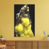 Hydroboracit auf Gorgeyit, Kasachstan Leinwanddruck (Insitu (Wohnzimmer))