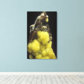 Hydroboracit auf Gorgeyit, Kasachstan Leinwanddruck (Insitu (Holzboden))