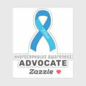 Hydrocephalus Awareness Vinyl Sticker (Blatt)