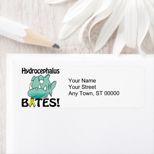 Hydrocephalus BITES (Insitu)