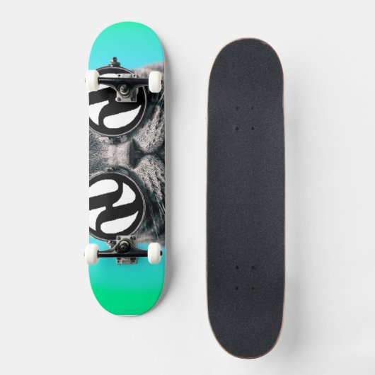 Hydrokatze Skateboard (Vorderseite)