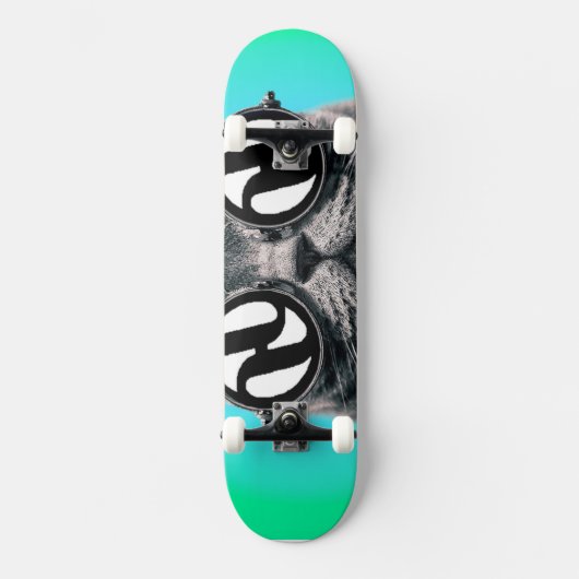 Hydrokatze Skateboard (Vorderseite)