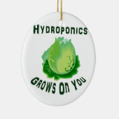 Hydroponik baut auf Ihnen Kopfsalat an Keramikornament (Rechts)