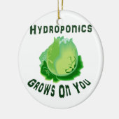 Hydroponik baut auf Ihnen Kopfsalat an Keramikornament (Links)